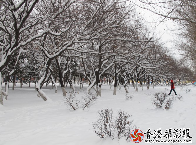 大雪 (3).jpg