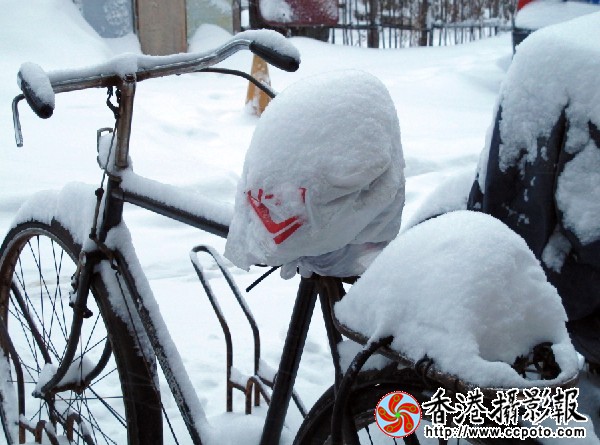 大雪 (4).jpg
