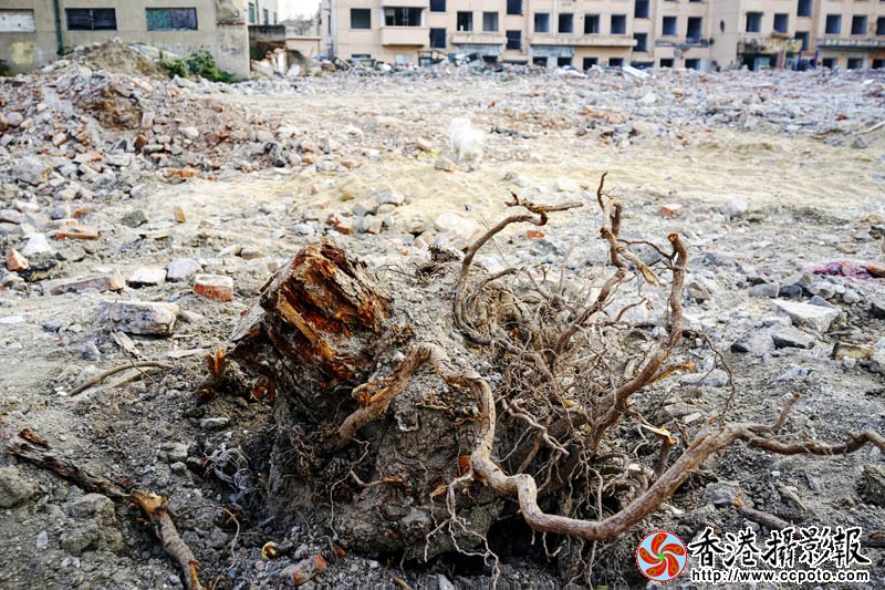 东关东风片区拆迁10..jpg