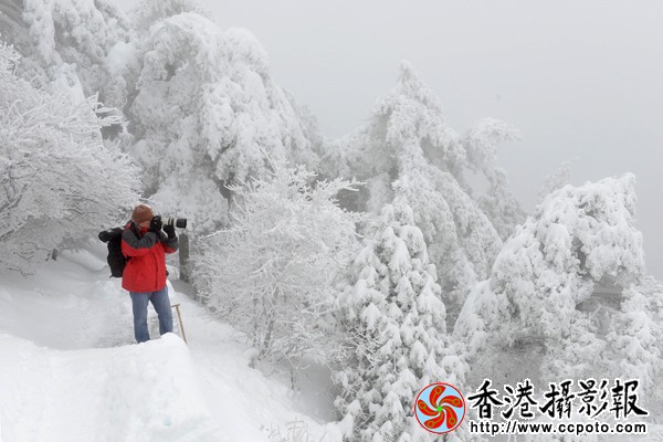 雪中黄山