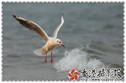 H46R2797_副本.jpg