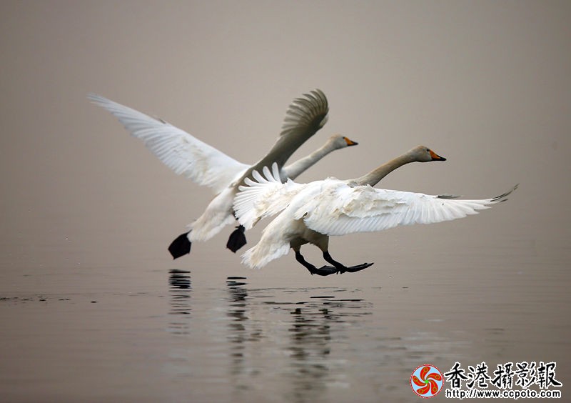 H46R6933_副本.jpg