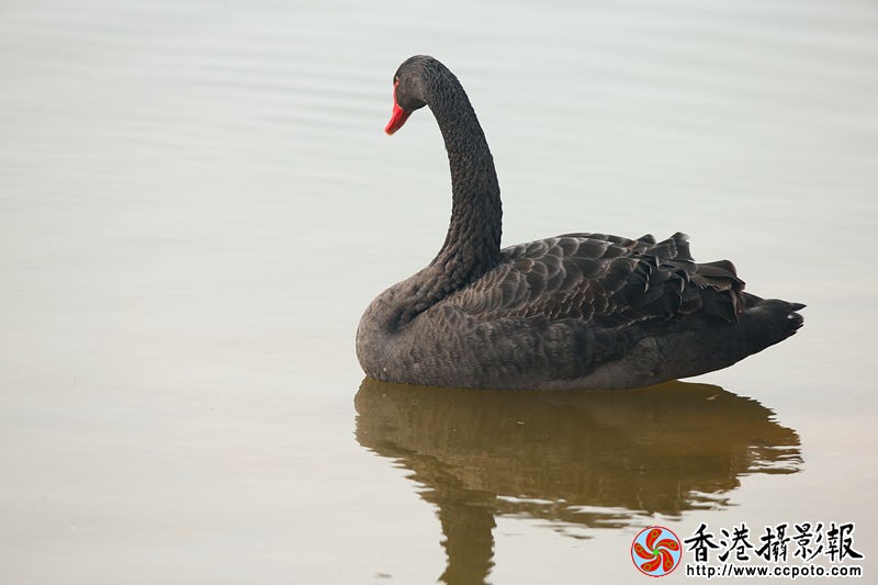 H46R7967_副本.jpg