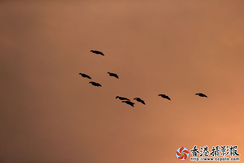 H46R1666_副本.jpg