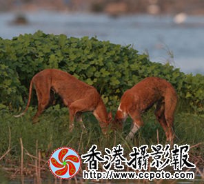 H46R6144_副本.jpg