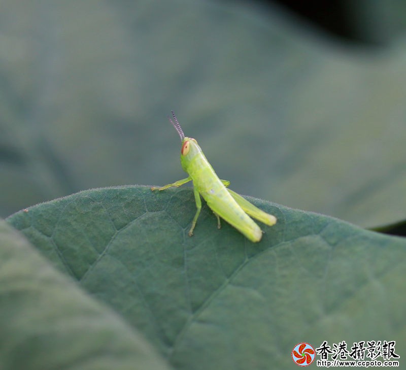 H46R5408_副本.jpg