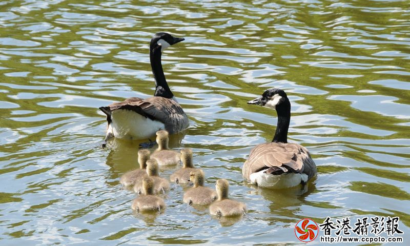 幸福的一家