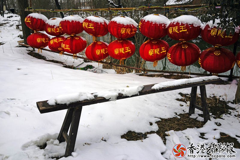 雪里红4..jpg
