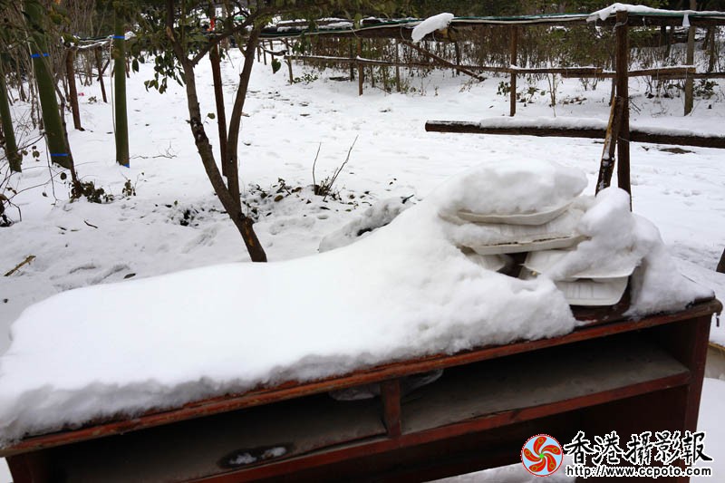 繁忙过后..jpg