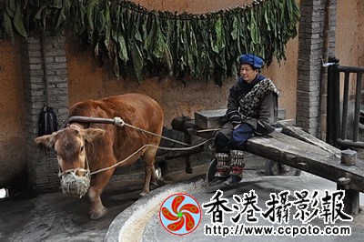 DSC_0666za_调整大小.jpg