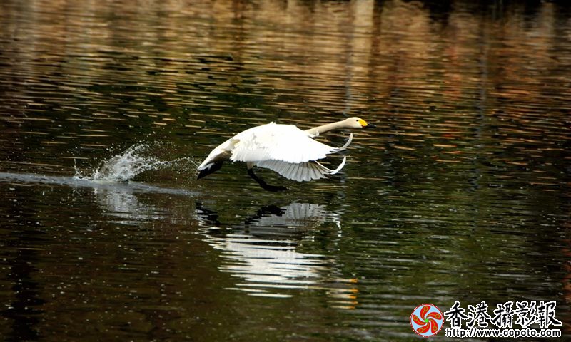 20130501起飞2香港.jpg