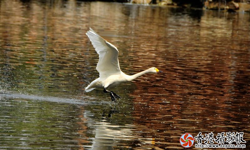 20130501起飞3香港.jpg