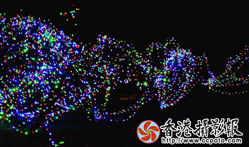 DSC_0056_副本_副本.jpg