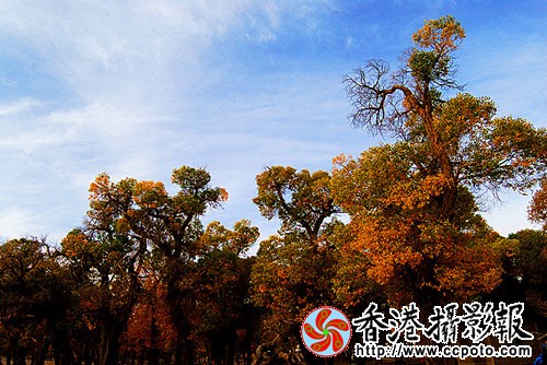 001 (223)_副本.jpg