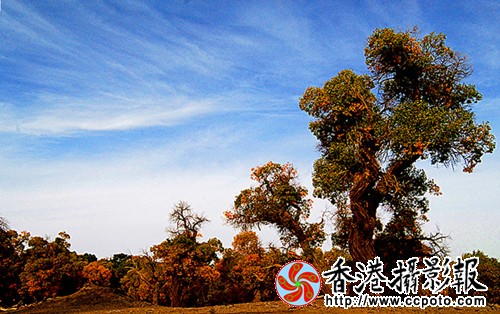 001 (229)_副本.jpg