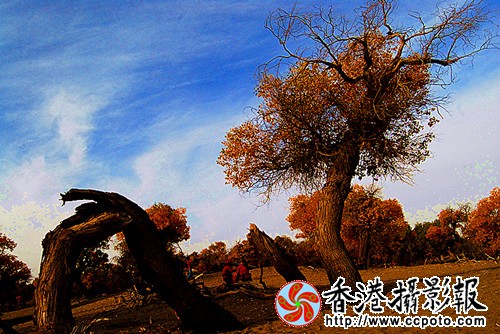 001 (234)_副本.jpg