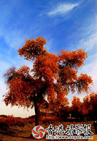 001 (243)_副本_副本.jpg