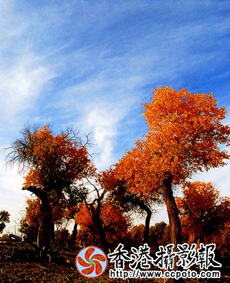 001 (238)_副本_副本.jpg