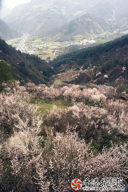 _DSC0797.jpg