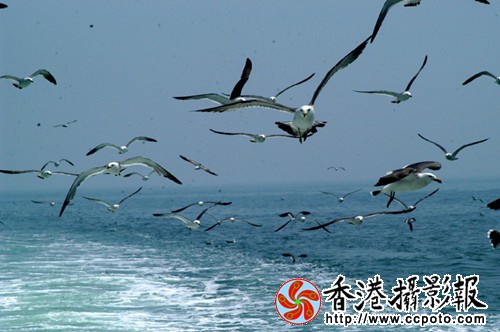 DSC_7813a_副本.jpg