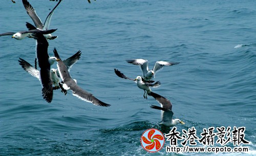 DSC_7939a_副本.jpg
