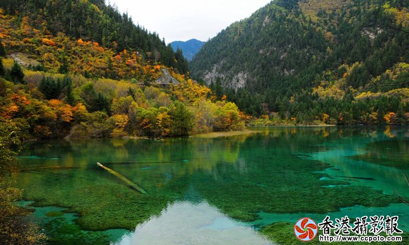 九寨五花海