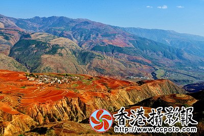 DSC_3015z_调整大小.jpg