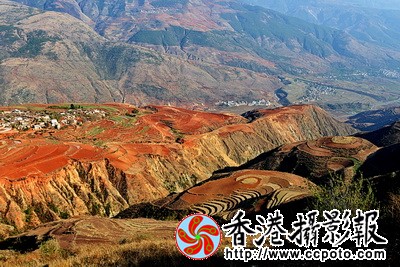 DSC_3024zz_调整大小.jpg