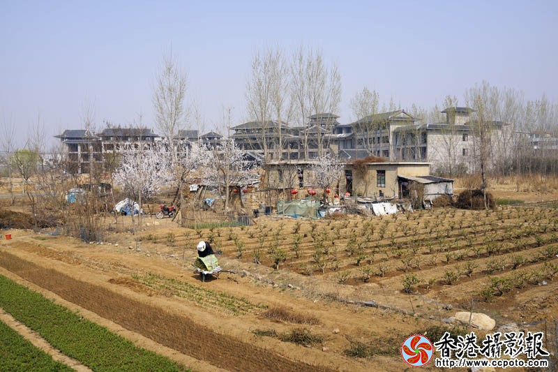 农家小院..jpg