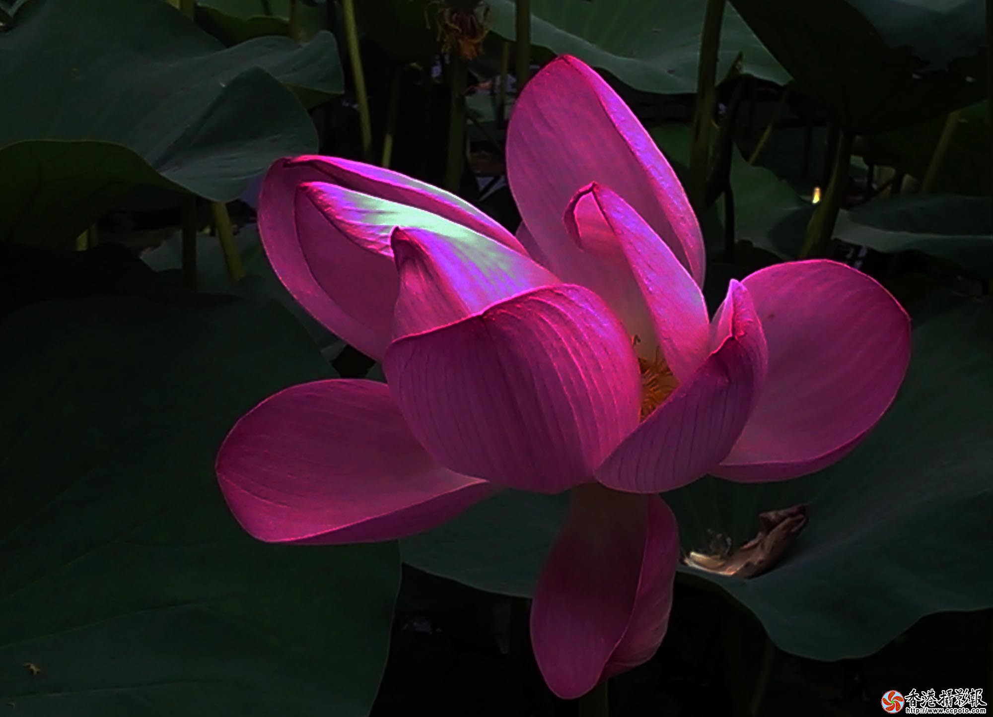 IMAG0147.jpg