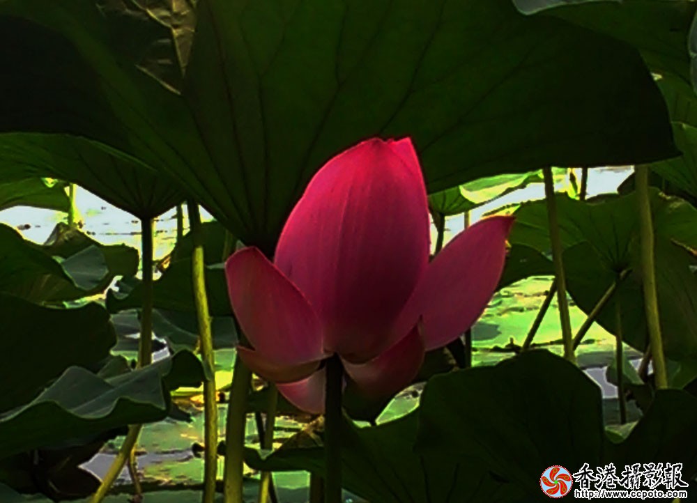 IMAG0149.jpg