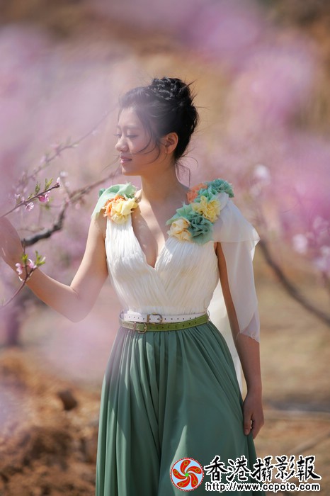 醉美桃林.jpg