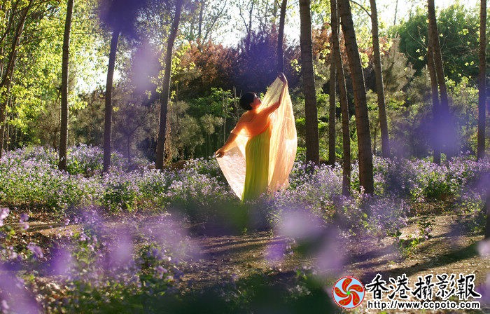 114.jpg