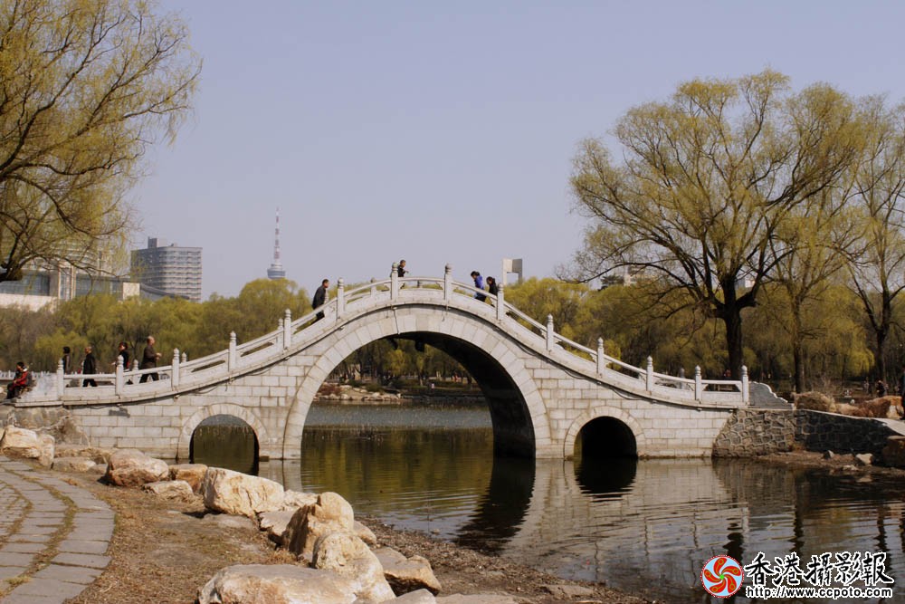 _MG_5603.jpg