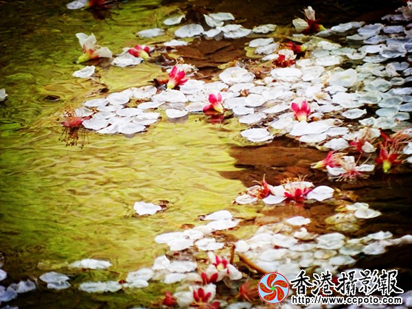 DSC00423_副本_22_600.jpg
