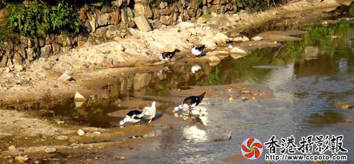 小河边.jpg