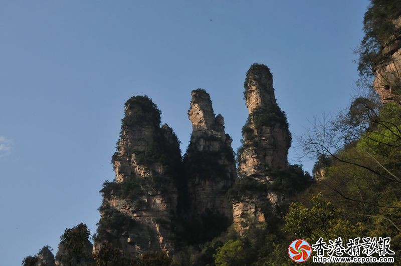 大美奇山张家界