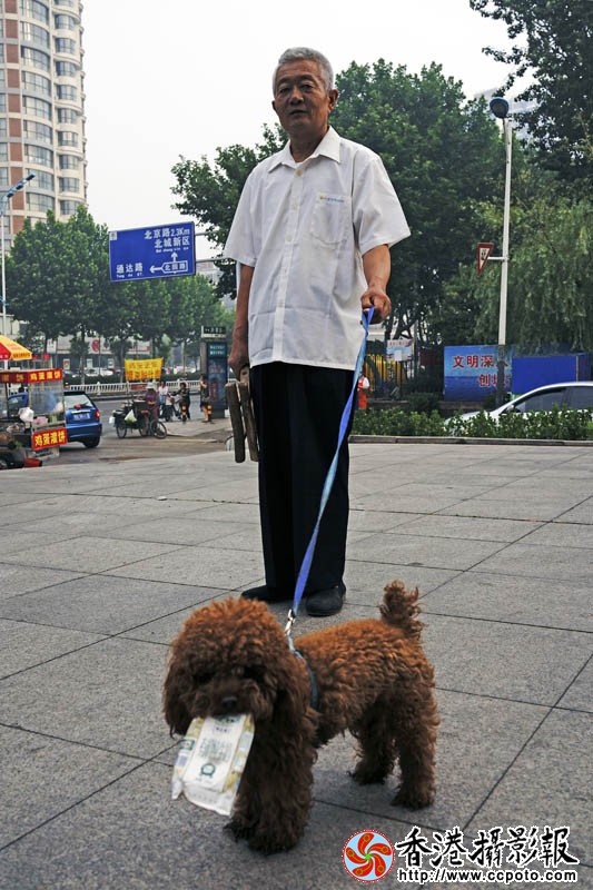 爱护环境的小狗..jpg