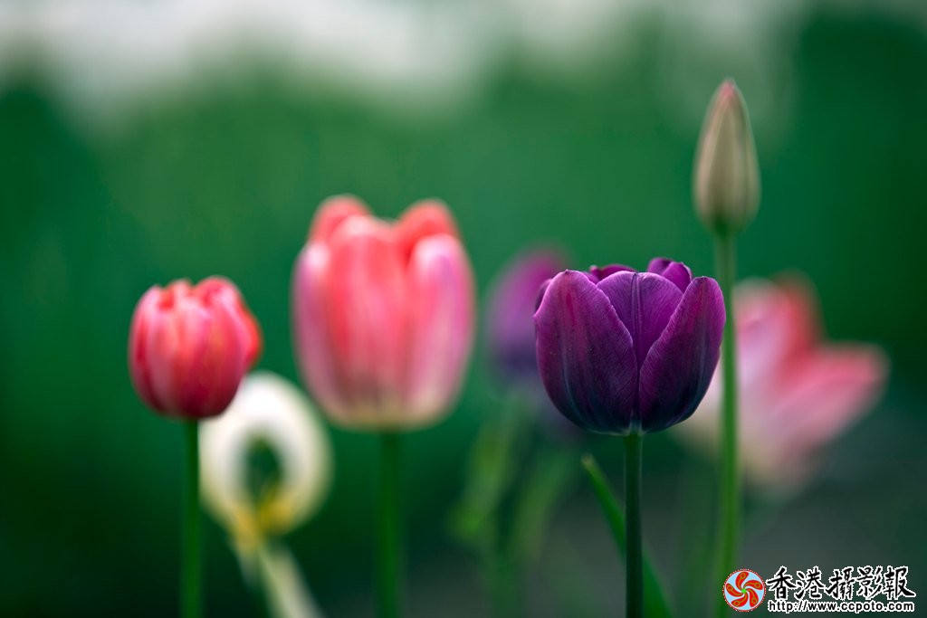 2H5A0004_副本.jpg