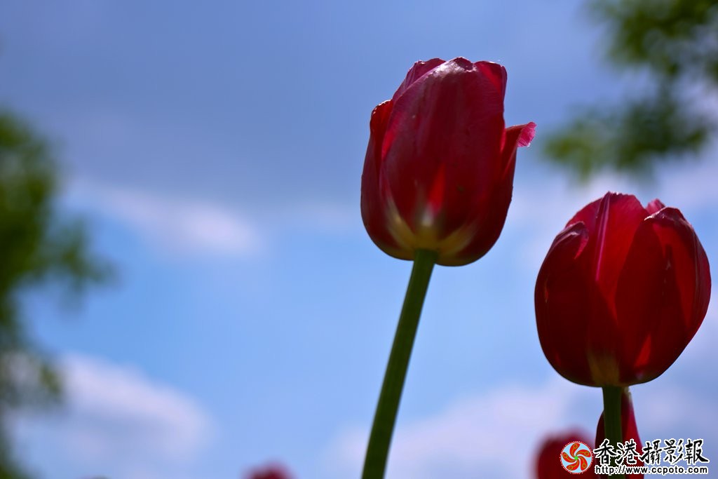 DSC03006_副本.jpg