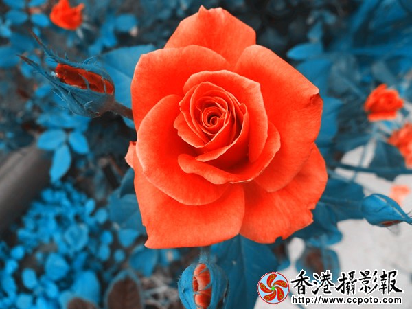 17_副本.jpg