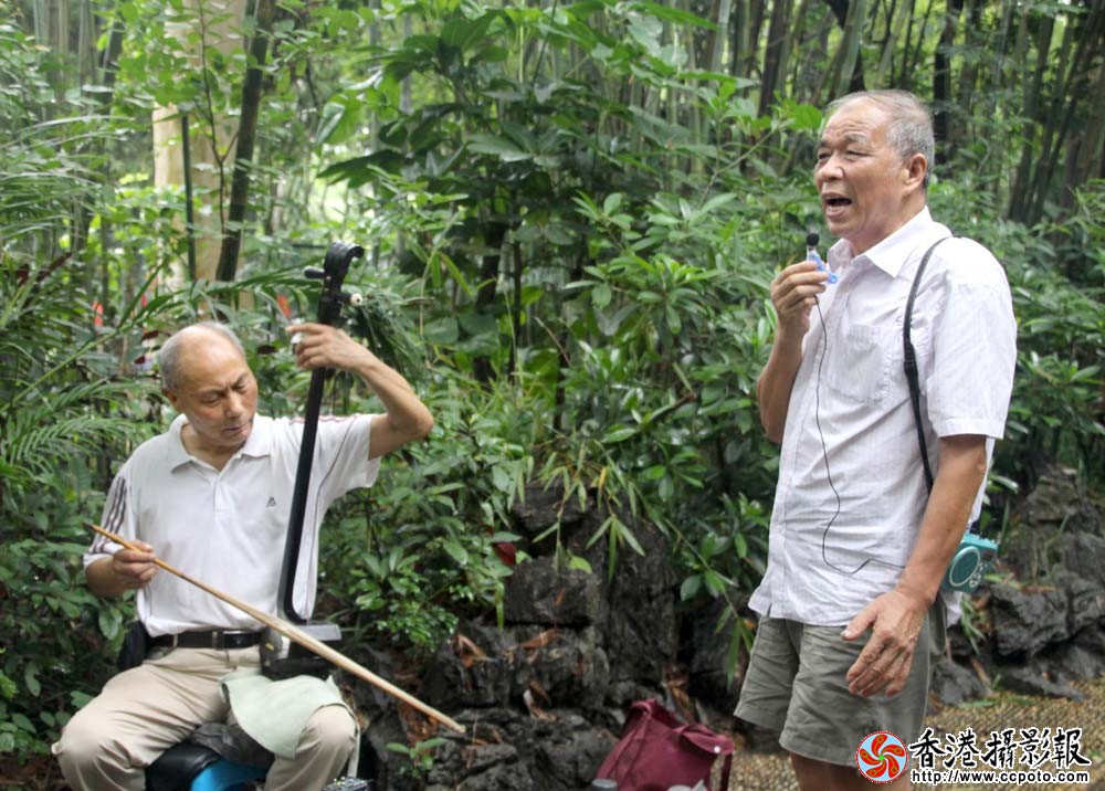 深圳有个河南戏艺术团7.JPG