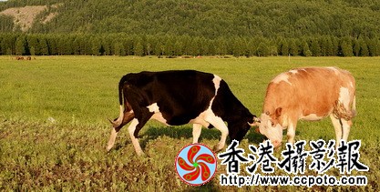 DSC_1100za_调整大小.jpg