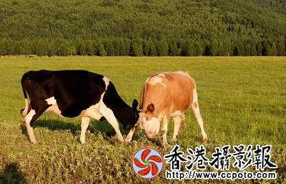 DSC_1105za_调整大小.jpg