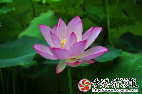DSC_0002_副本.jpg