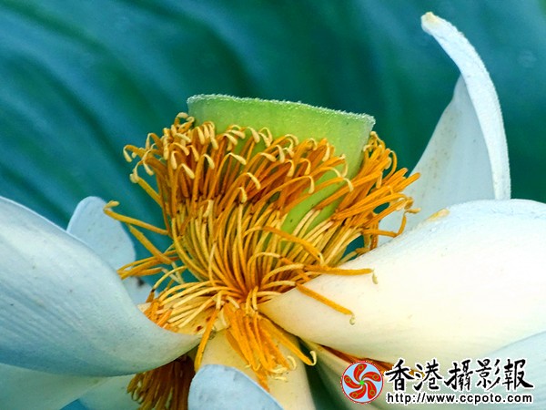 DSC01263_副本.jpg