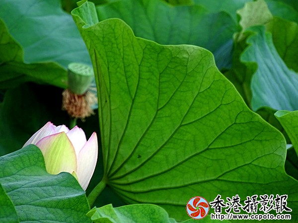 DSC01277_副本.jpg