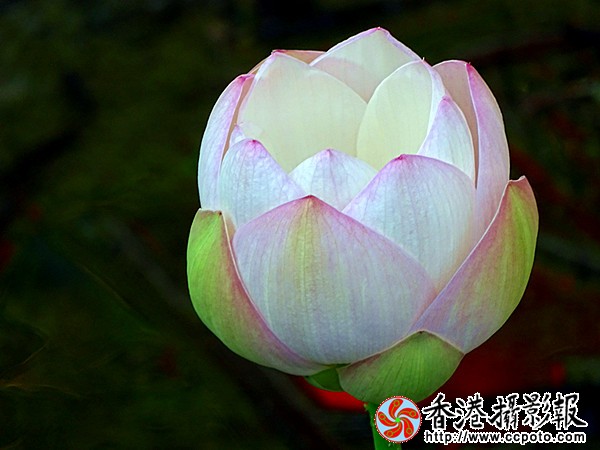 DSC01279_副本.jpg