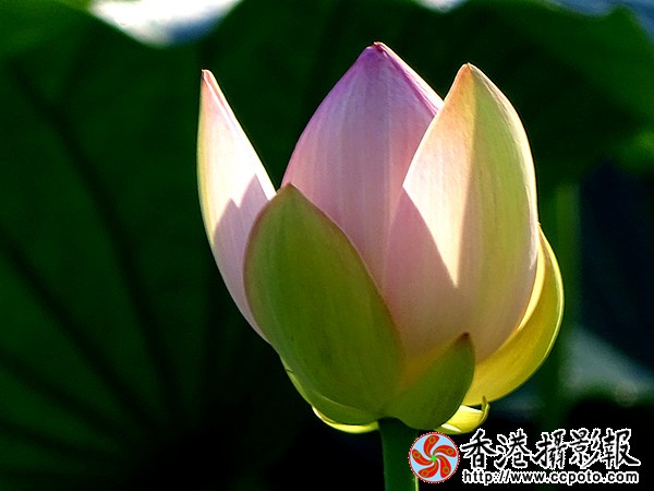 DSC01301_副本.jpg