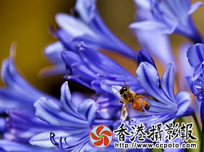 DSC_8014za_调整大小.jpg